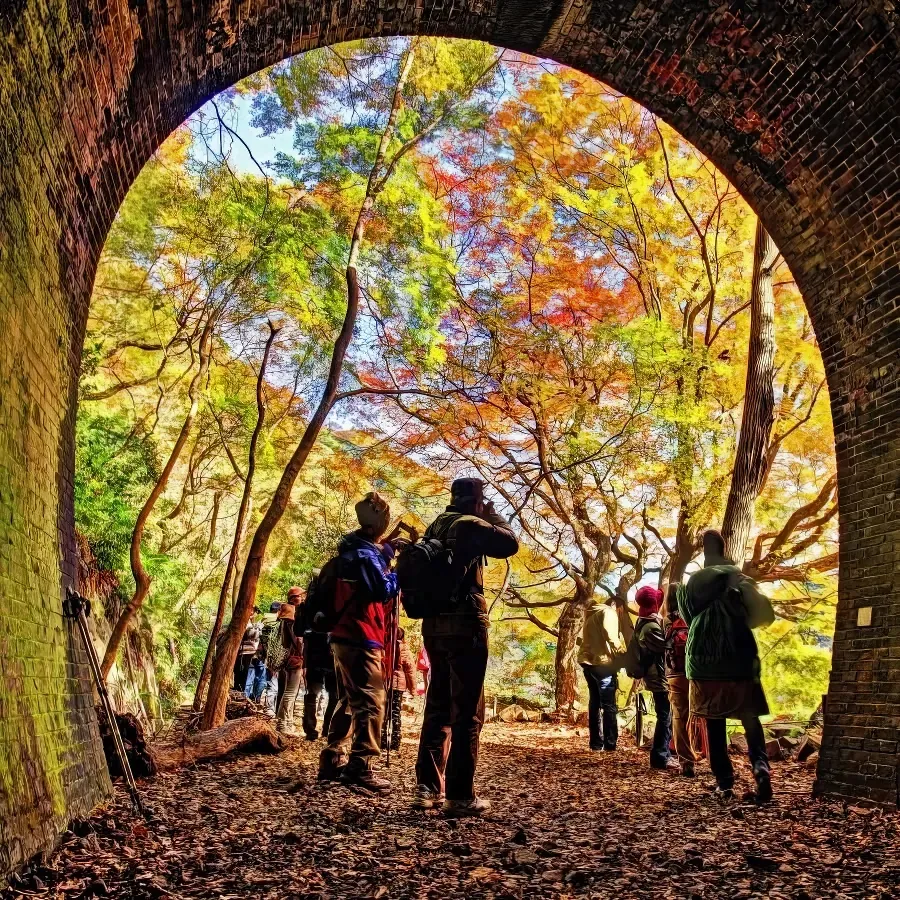 Red Brick, Red Leaves: Kasugai's One-Coin Autumn Walk