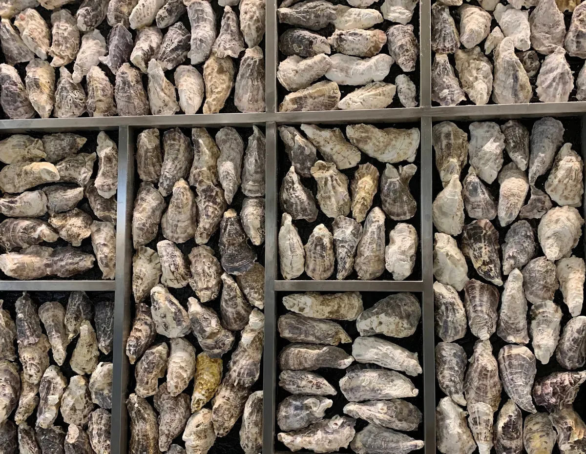 Oyster Season in Nagoya