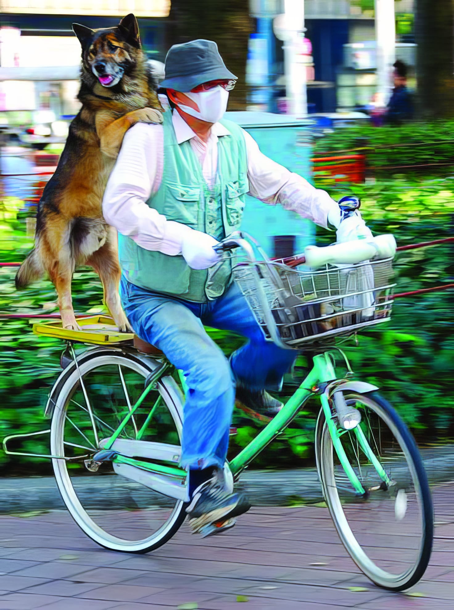 Japan's New Bicycle Laws