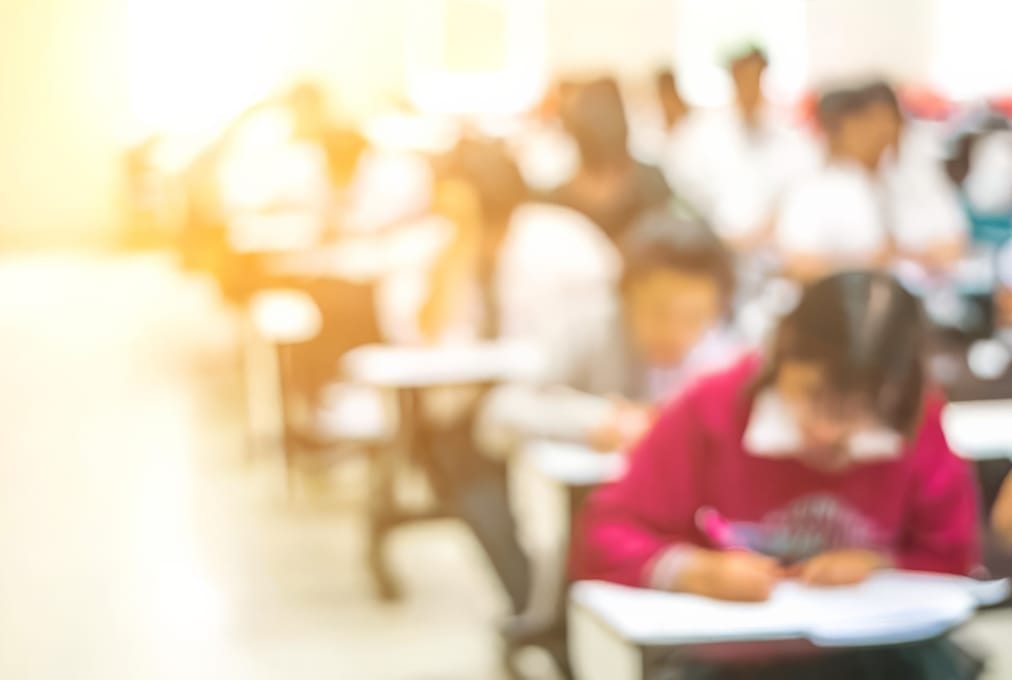 Barrier-Free Instruction in Japan