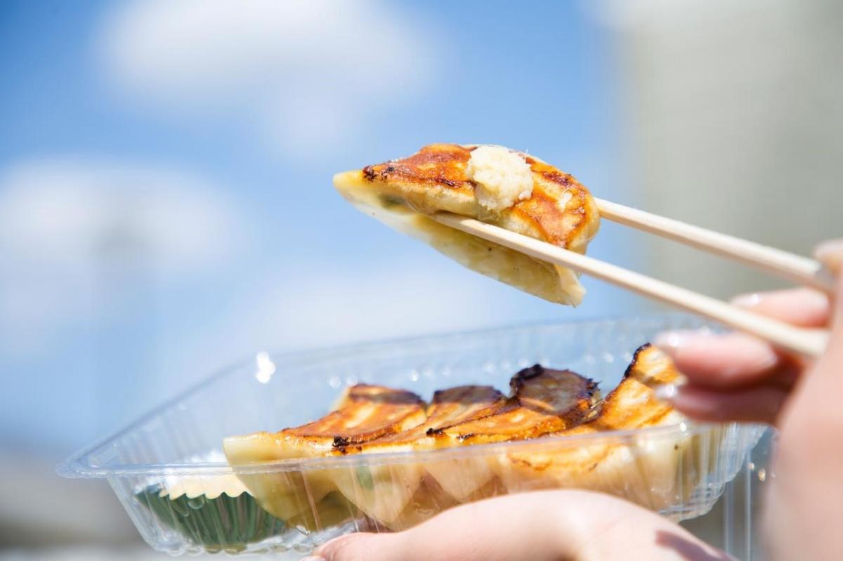 The All Japan Gyoza Festival 2024