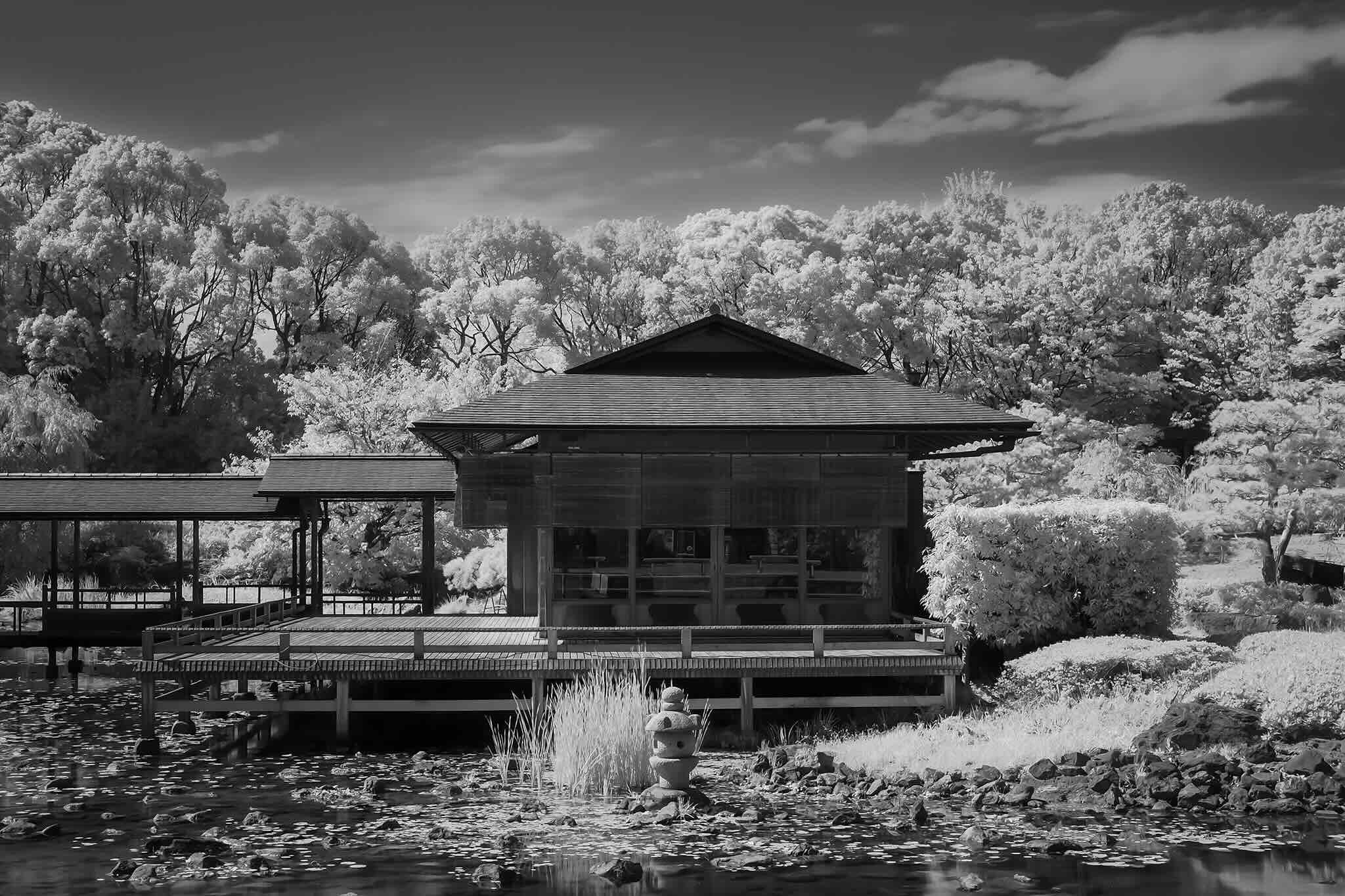 Submit Your Art Now!