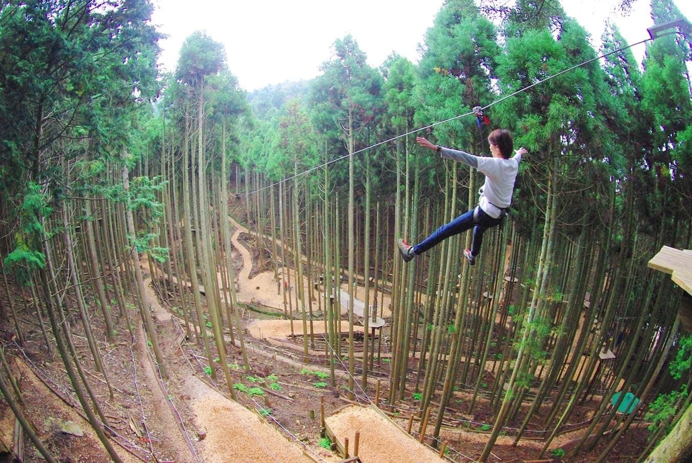 Discover Forest Adventure in Shinshiro!