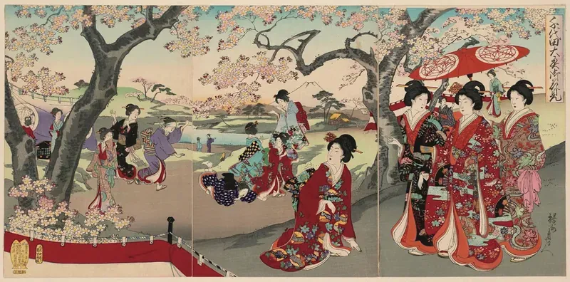 Hanami Fun Facts!