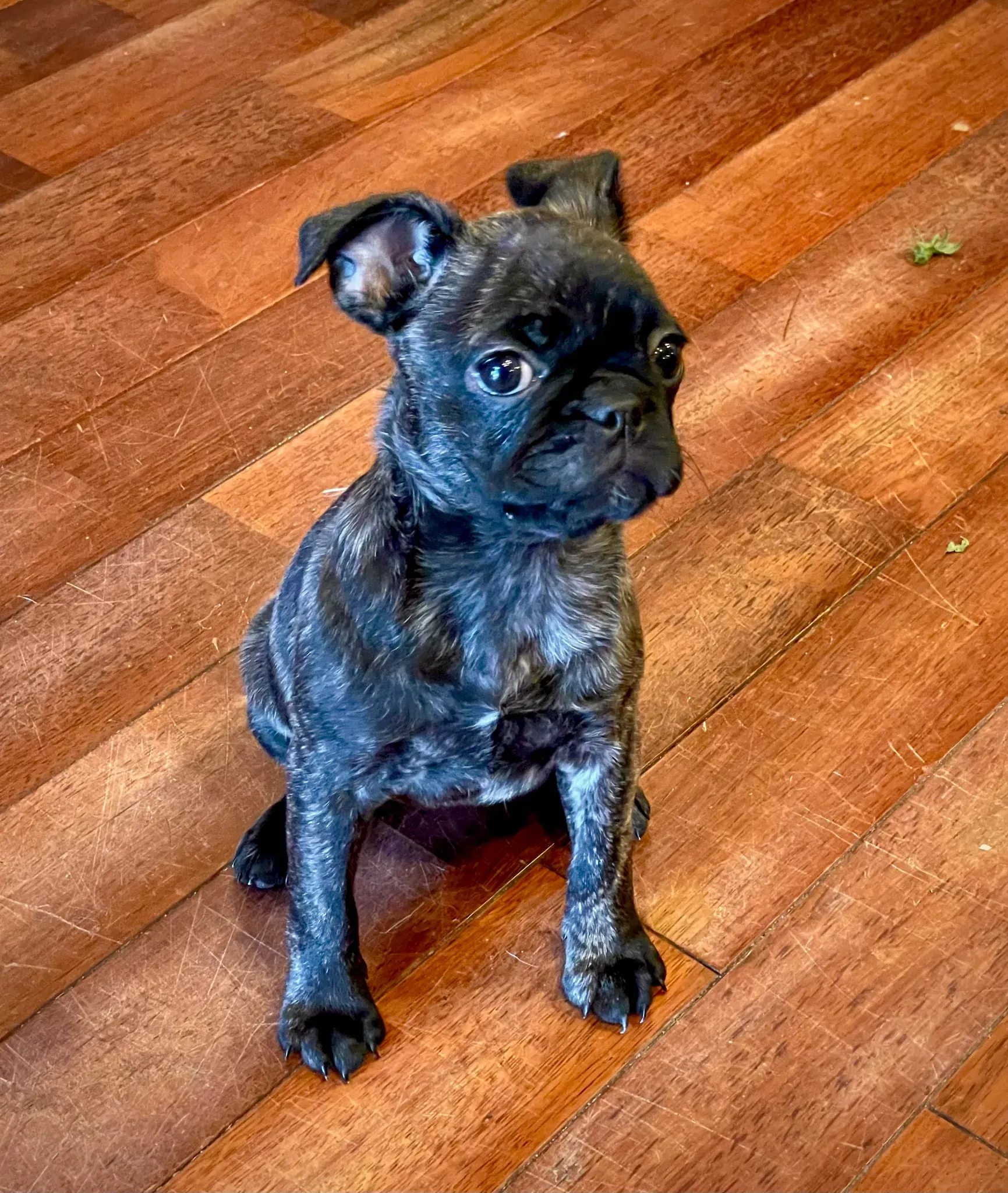 What's Going On Nagoya? May 13