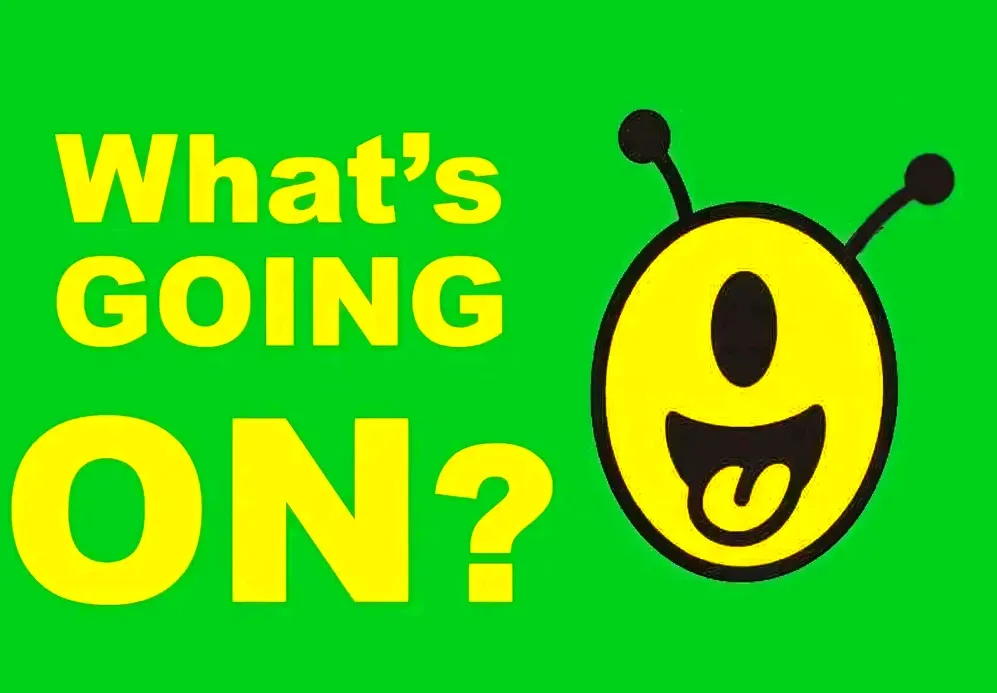 What's Going On Nagoya? August 21