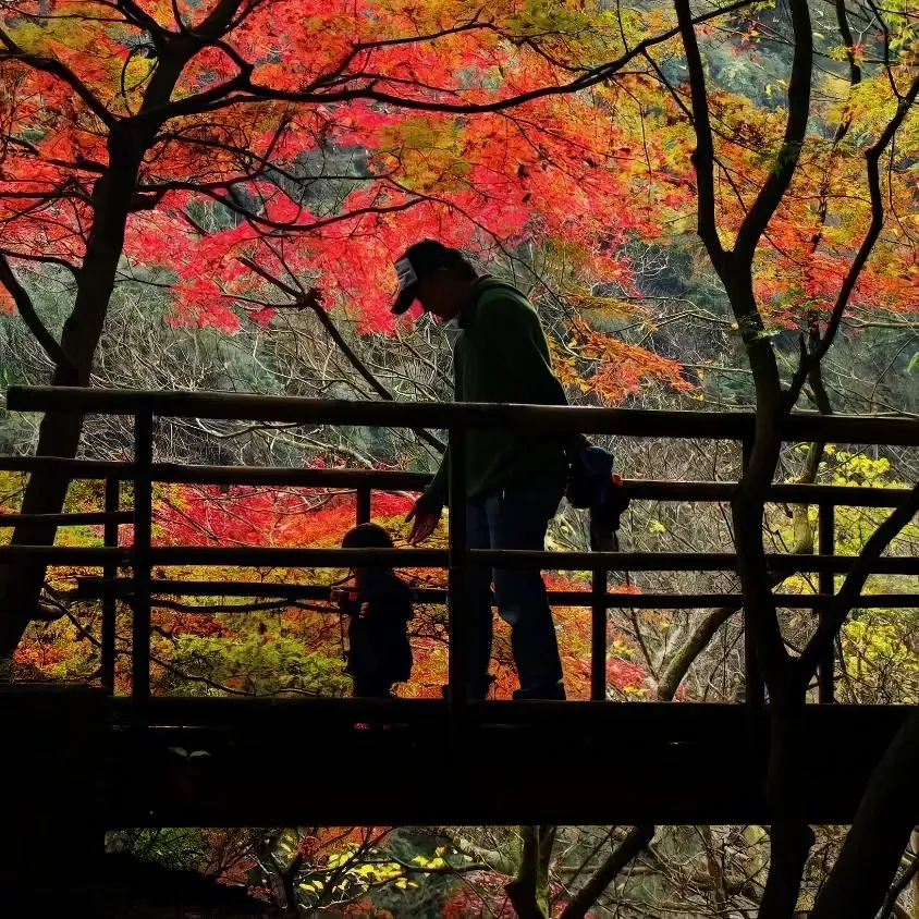 What's Going On Nagoya?