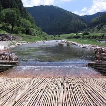 Fish With Your Hands!