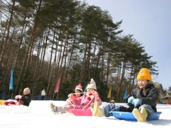 Japan's Ultimate Family Sledding Paradise! 2025-26