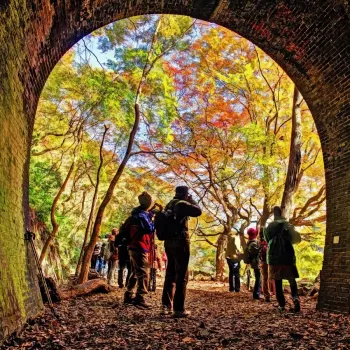 Red Brick, Red Leaves: Kasugai's One-Coin Autumn Walk