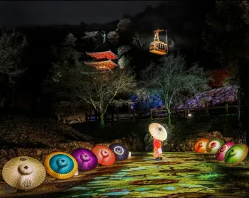 Gifu's Umbrellas, After Dark