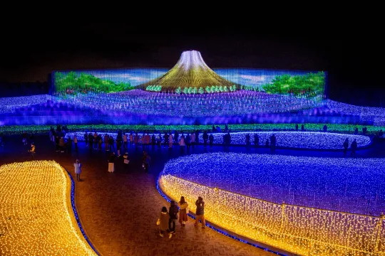 Nabana no Sato Winter Illumination: What to Expect, When to Go